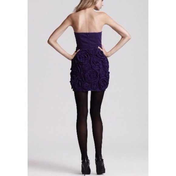 Cynthia Steffe | Womens Size 0 Rosette Appliqué Strapless Dress Purple Fit Short - Picture 3 of 14